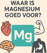 Waar is Magnesium goed voor?